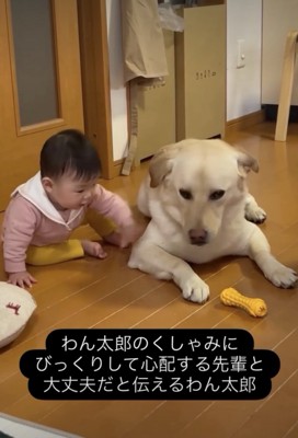 「だいじょうぶ？」