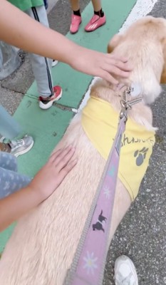 みんなの人気者