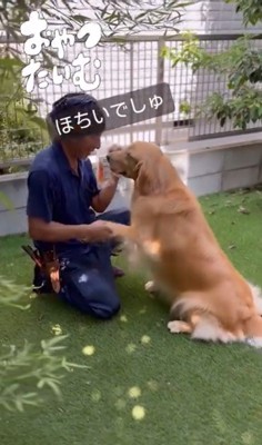 そら君と植木屋さんのふれあい8