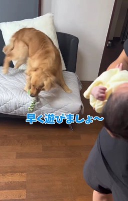 パパの腕には赤ちゃんが…