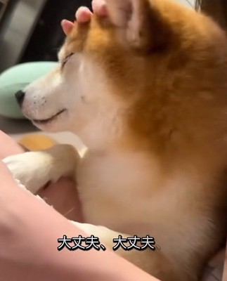 少し落ち着いてきた♡