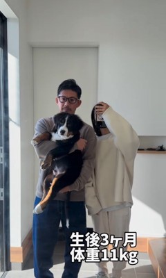 ダンボくんの成長6