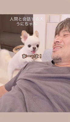 お父さんをツンツンしながら話しかける犬