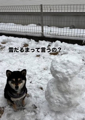 雪だるまと千幸ちゃん