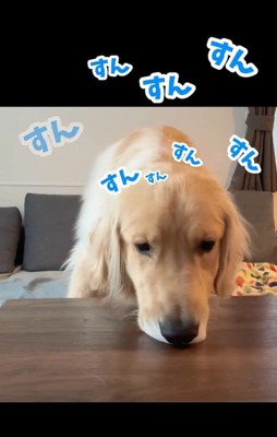 桃を食べるコロッケくん⑩