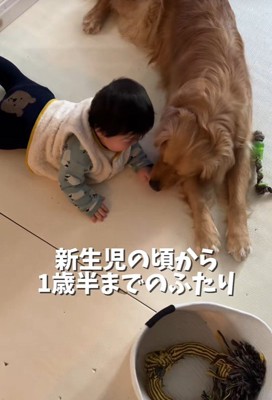 本当の兄弟のよう!