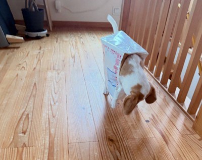 雨の日の遊びは…