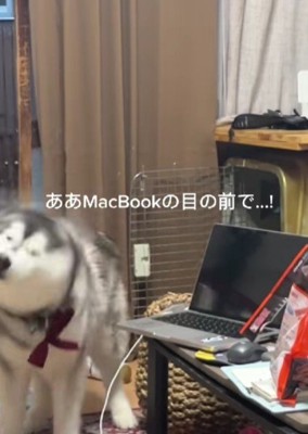 最悪の場所でブルブル！！