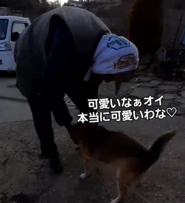 じゅんこちゃんのことが大好き