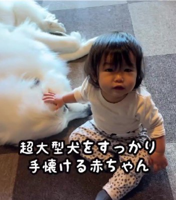 成長したろのちゃんに…