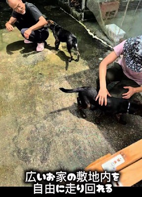 広い敷地を与えられて…