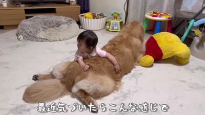 おからちゃんへの愛が止まらない