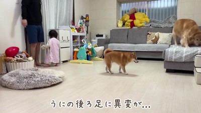 うにくんの様子がおかしい