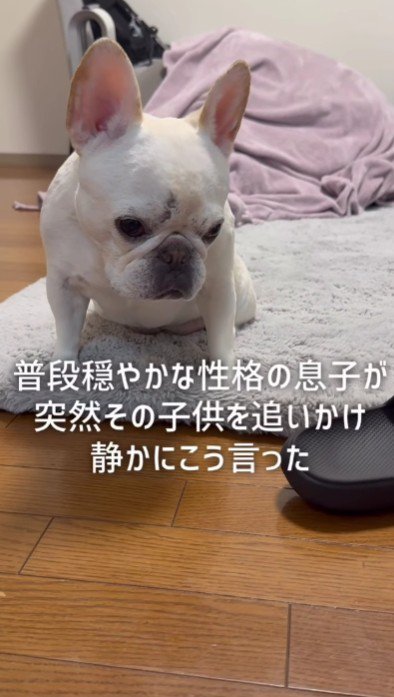 息子さんが追いかけて…