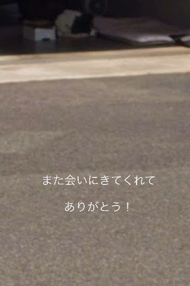 天国からのプレゼントかも