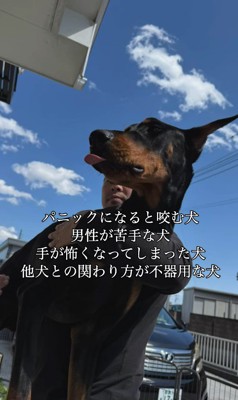 豹馬くんの変化