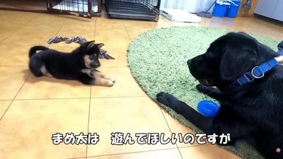 ジオちゃんと意気投合!!