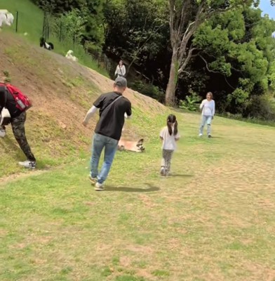 転がってしまうおもちちゃん