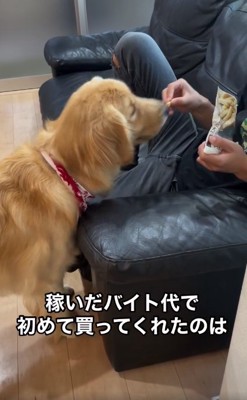 おやつを食べるマリンちゃん