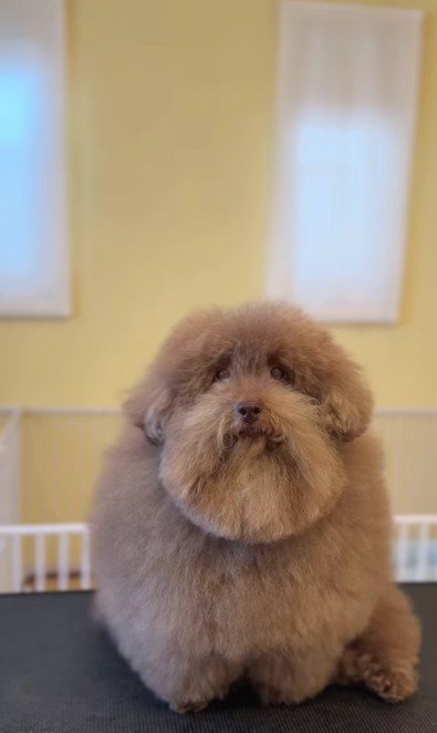 ふんわり三角形!!