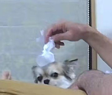 冷たくて気持ちいい…