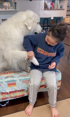 サンちゃんと女の子のやり取り5