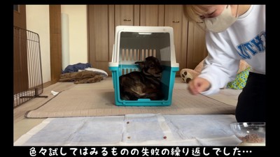 クレートから出てこない
