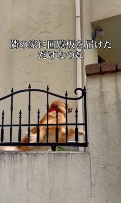 ララちゃんの熱烈歓迎3