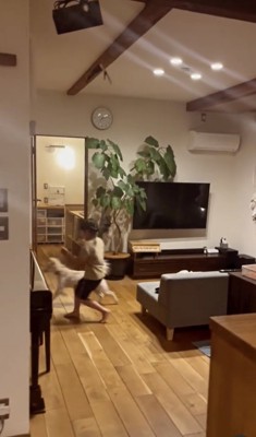 パパが帰ってきた!