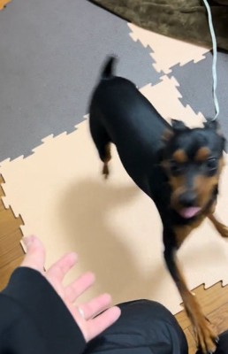 嬉しいナツくん