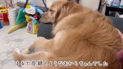 おからちゃんの愛に感動♡