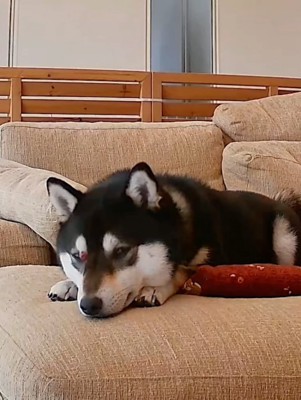 視線を元に戻す