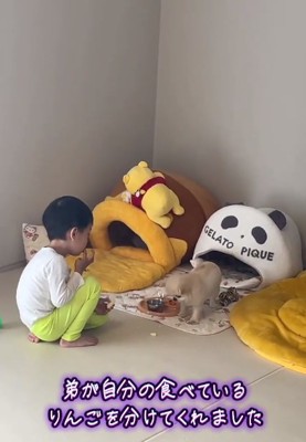 またリンゴを見るうにちゃん