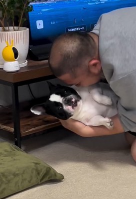 テレビ台の中の小型犬を引き出した飼い主