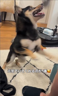 ラムくんの変化9