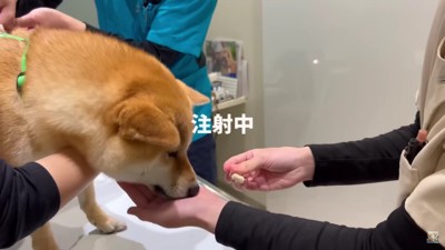 注射は無事終了!