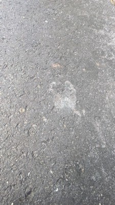 くっきりとした足跡