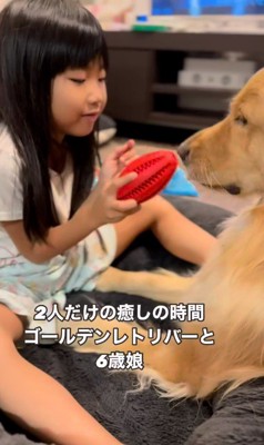 女の子とシンバくんのやり取り