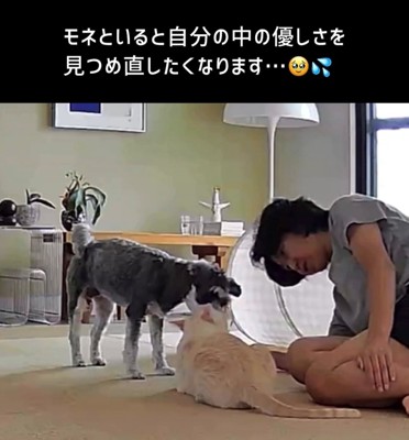 猫に寄り添う犬と心配そうな飼い主
