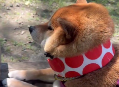 ほっぺたがまとまってる!