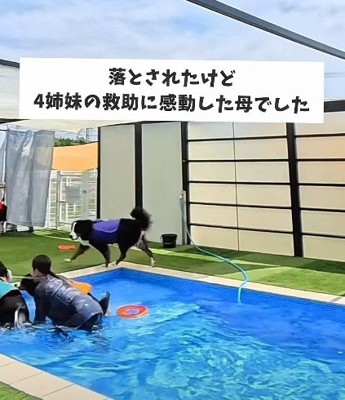 末っ子が救助成功!!