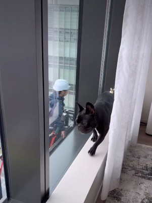 大興奮のボンドちゃん