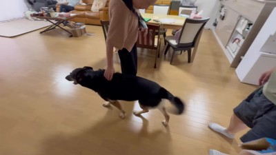 まさかの塩対応！！