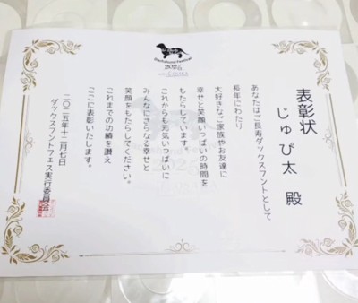 長寿を祝う文章が書かれた表彰状