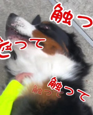 一番好きなのはママ♡