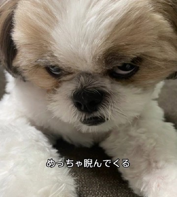 ガン飛ばしてる!!