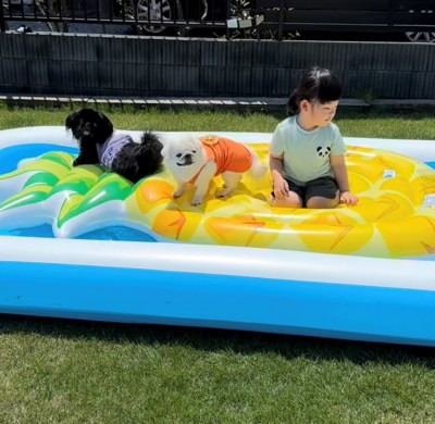ビニールプールの上で遊ぶ犬と女の子
