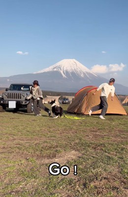 女性を追いかけようとする犬