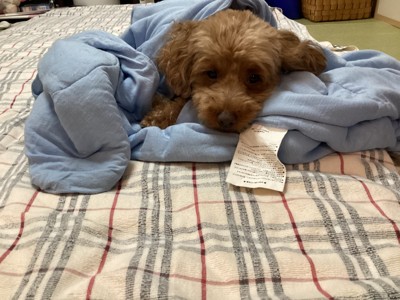 あかりの投稿画像