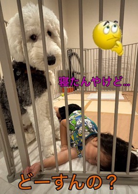 「どうしてここで寝ているの?」